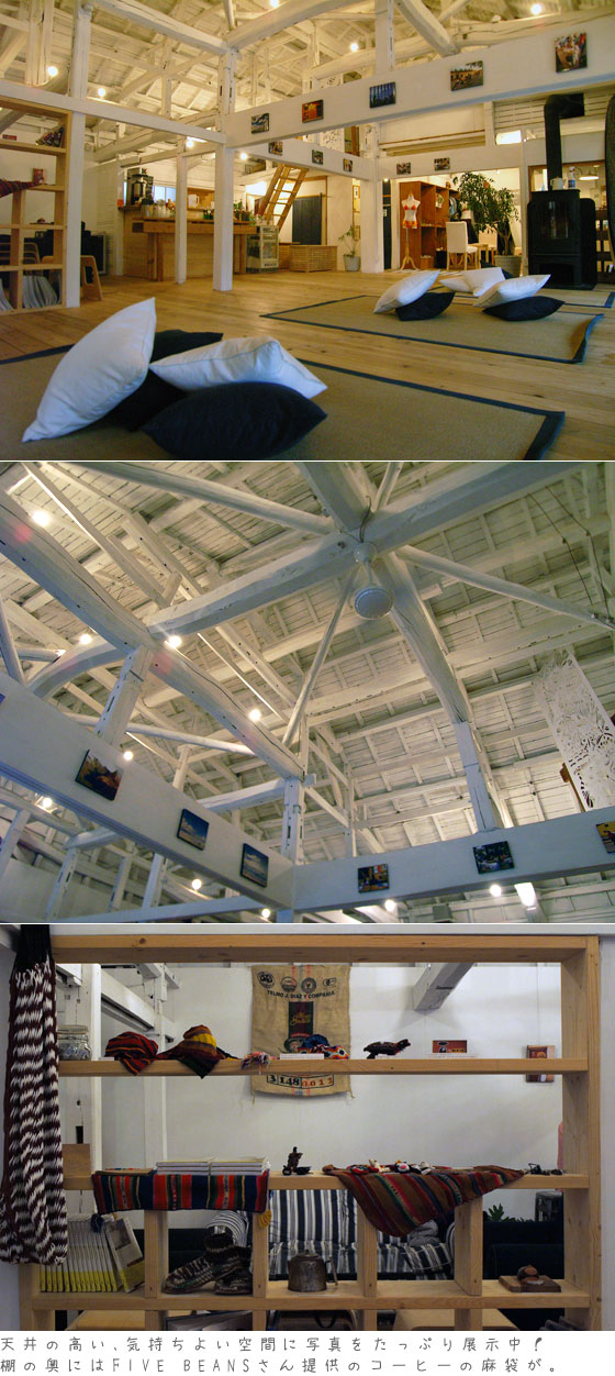 展示の様子
